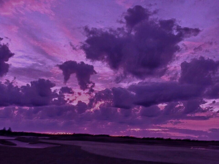Aesthetics