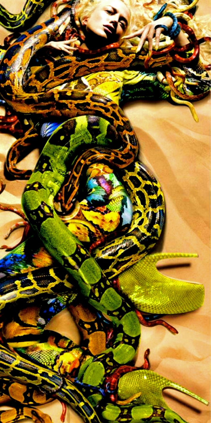 snakes