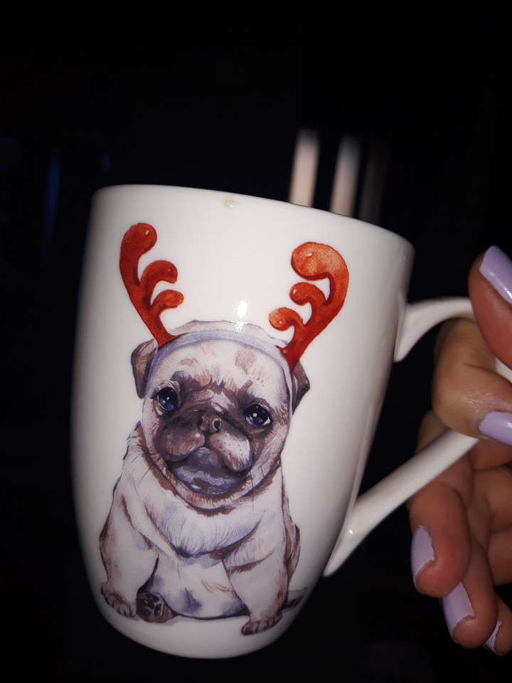 Christmas pug mug