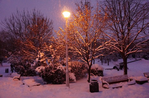 Snowy evening