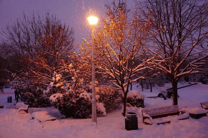 Snowy evening