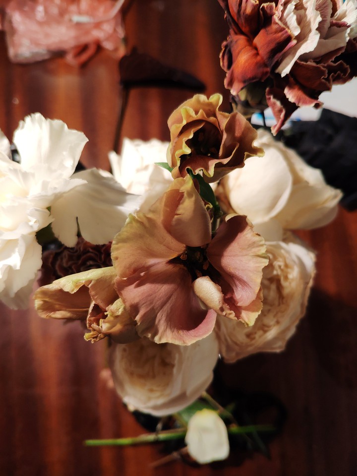 Brown flowers