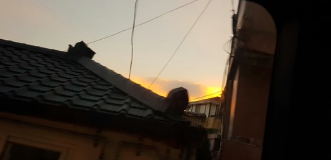 노을