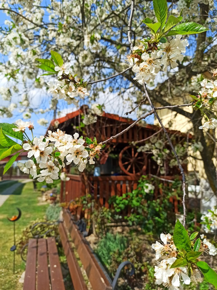 Spring in Slovakia
