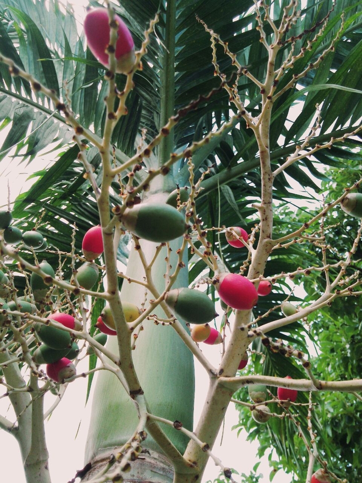 Nature