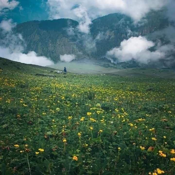 nature