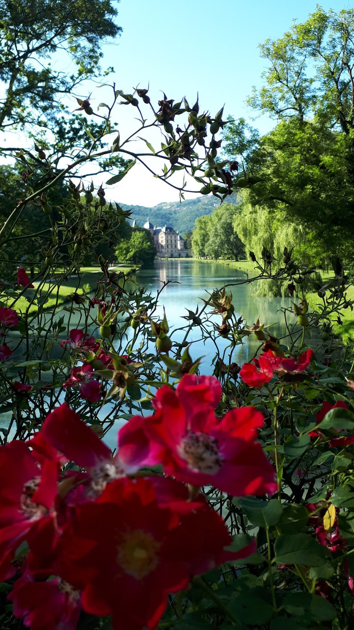 Château Vizille
