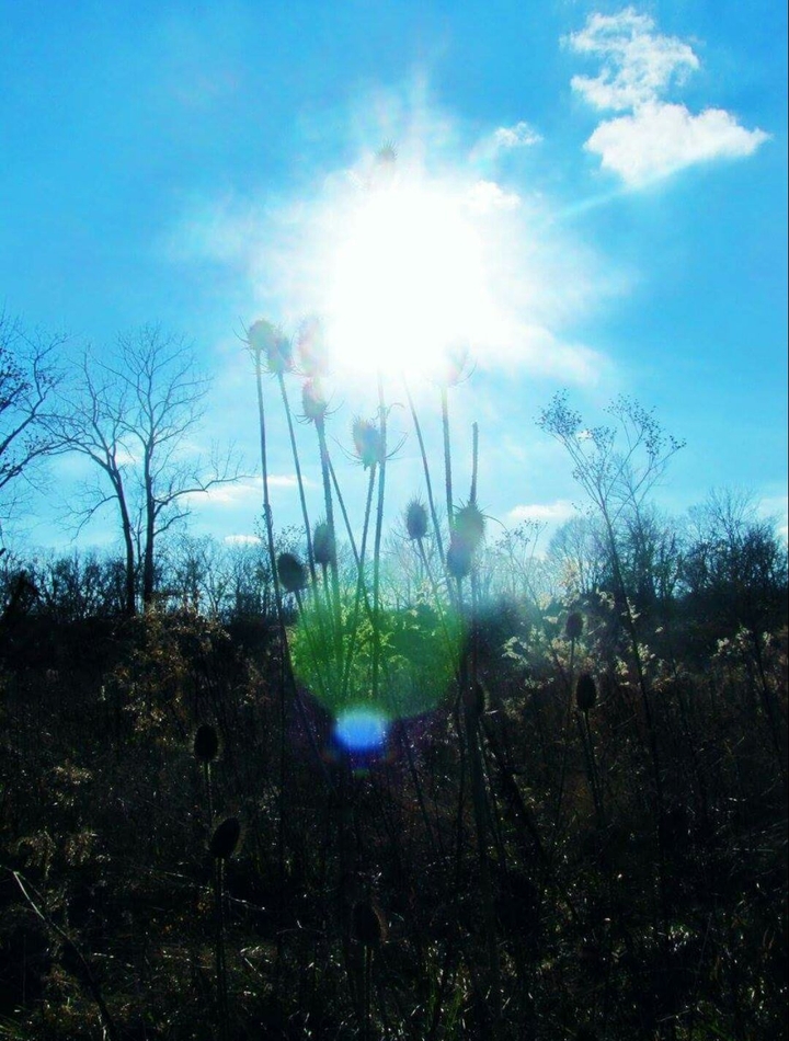 wilderness