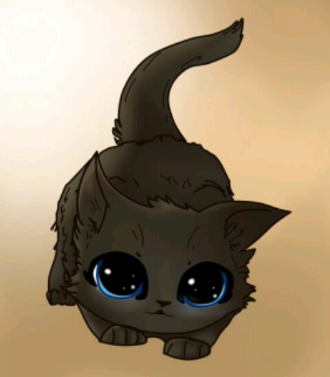 котов любим??