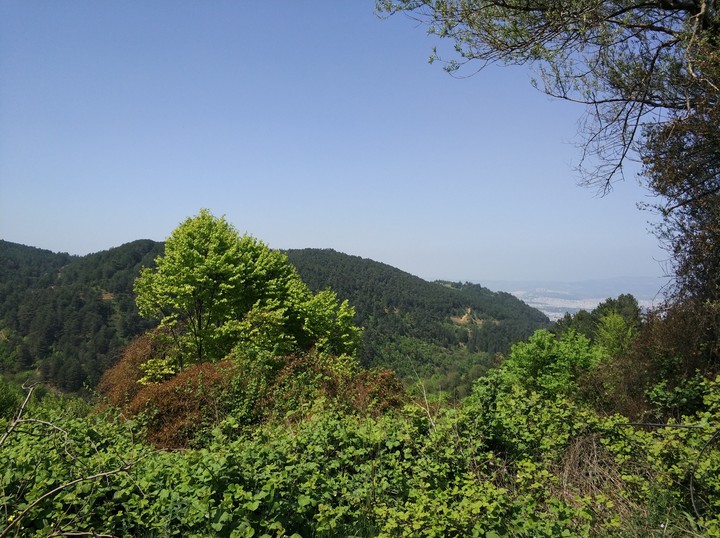 View