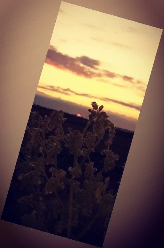 sunset ??✨