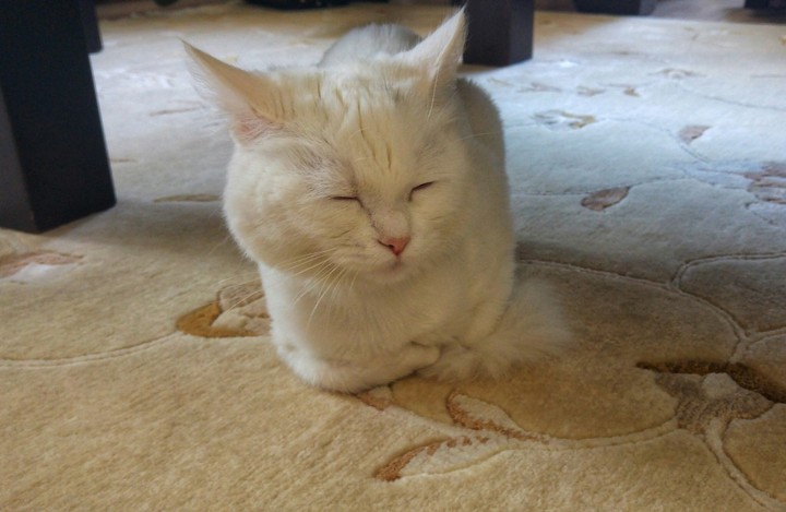Sleeping time!