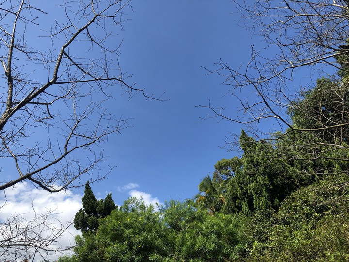 Sky•