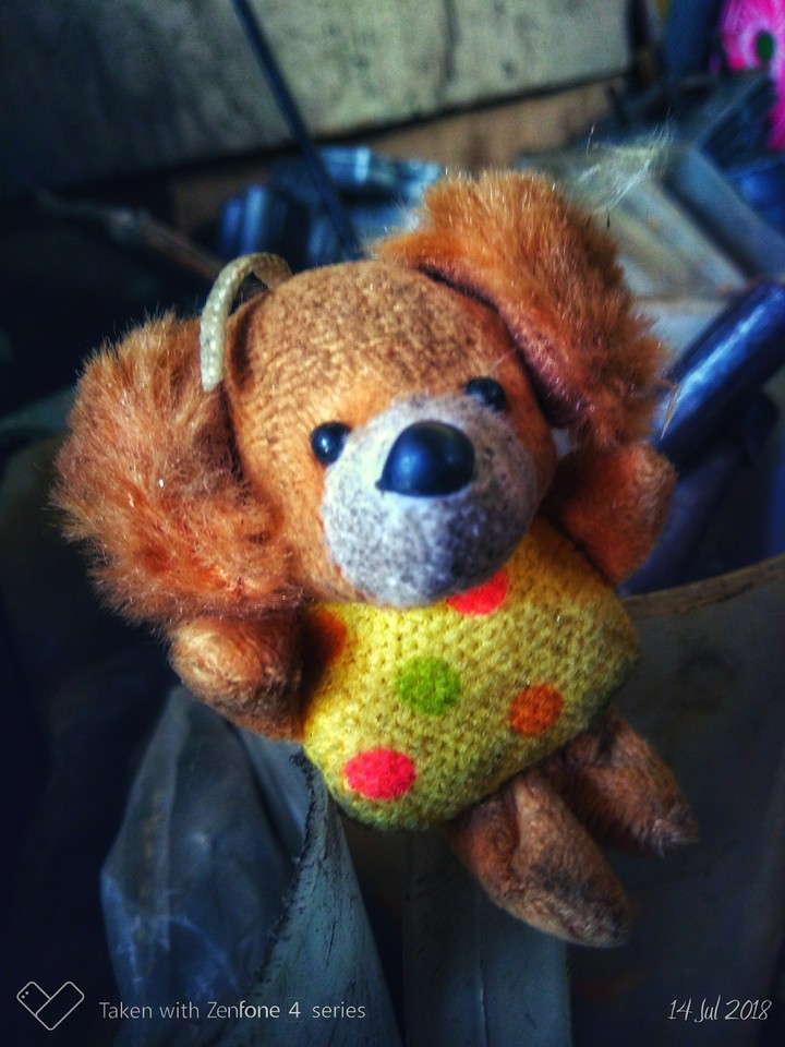 bear