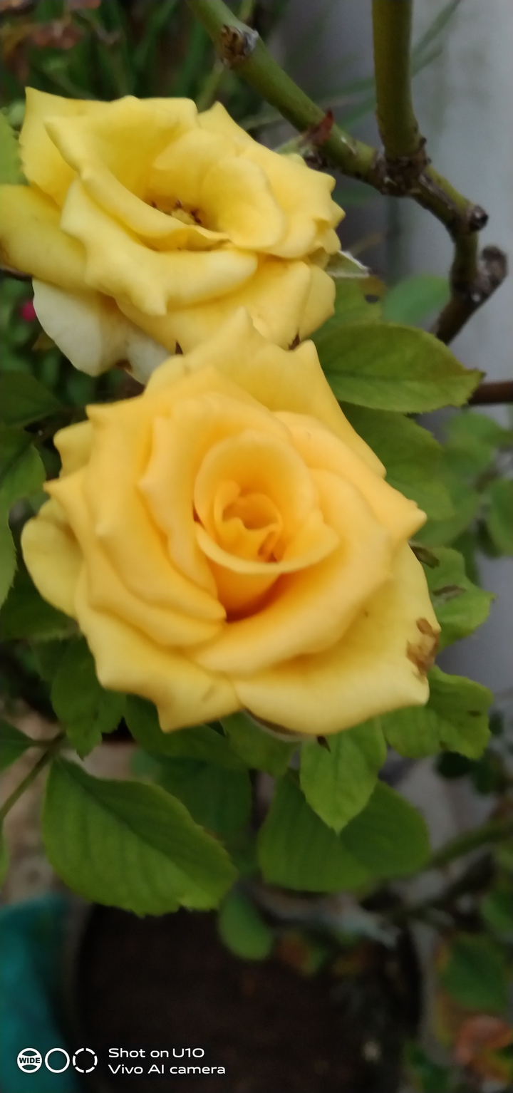 beautiful nature