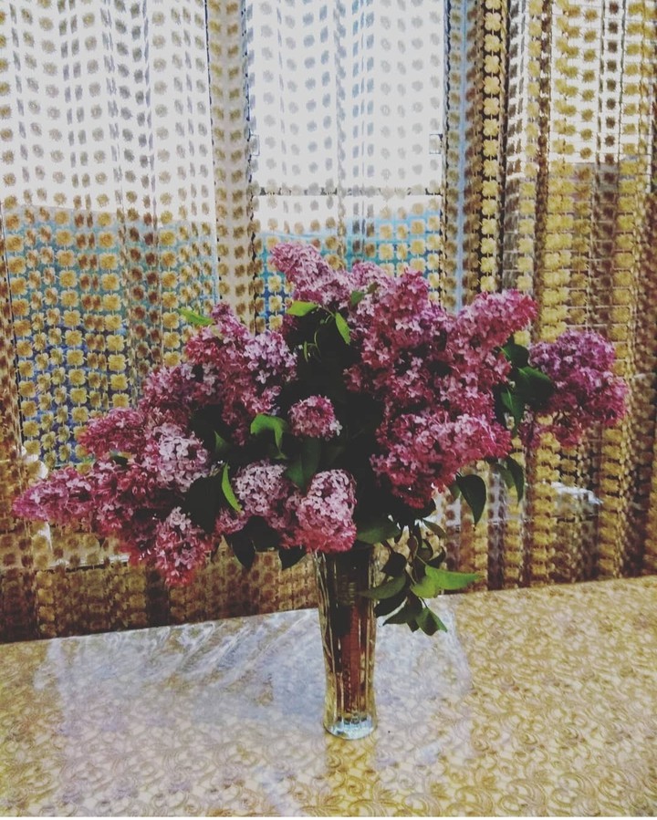 сирень