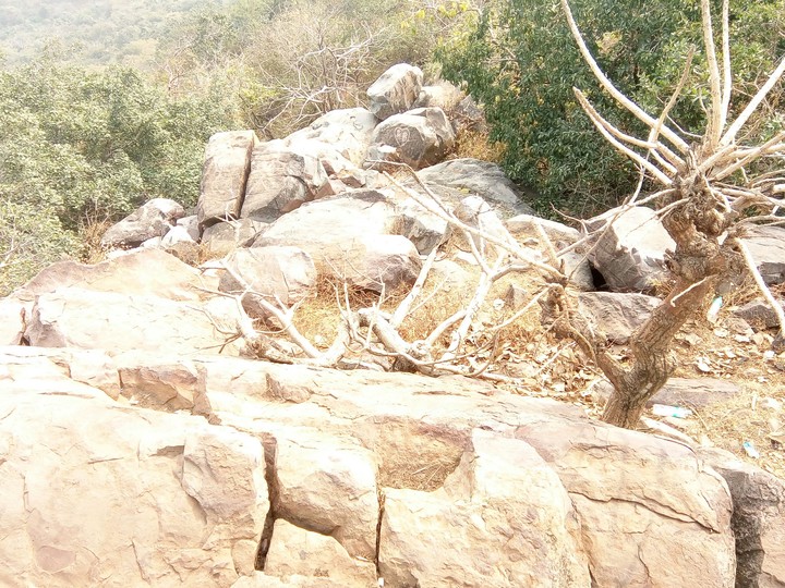 Mountain