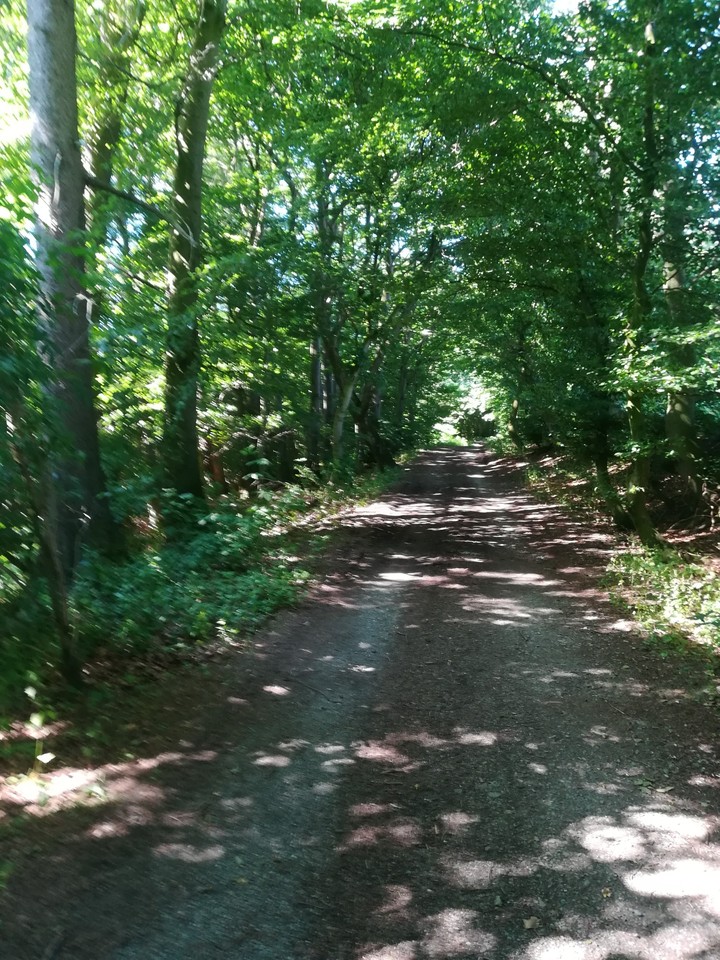 The Way