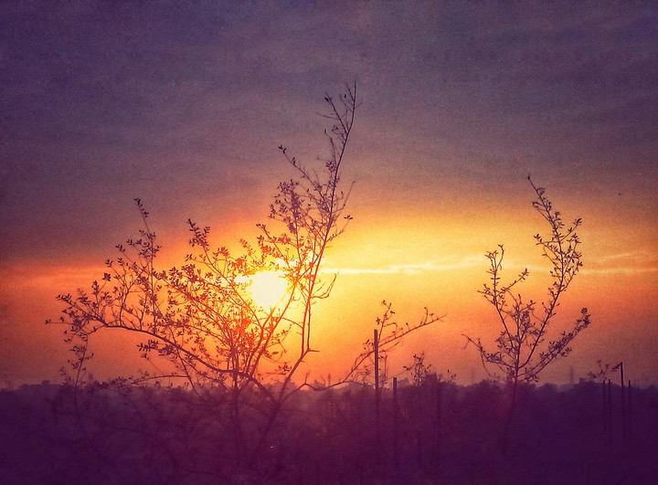 sunset