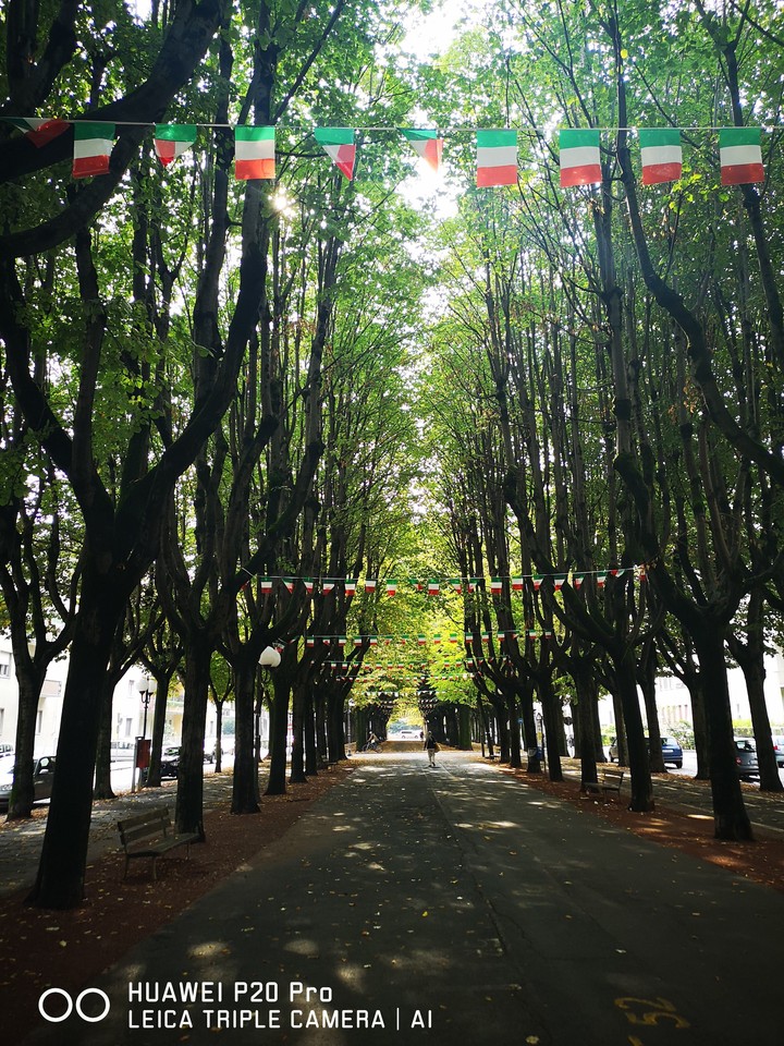 VERCELLI viale rimembranza