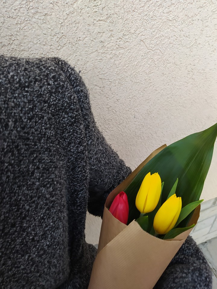 Tulips