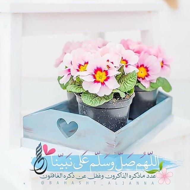 Mohammed peace be upon him