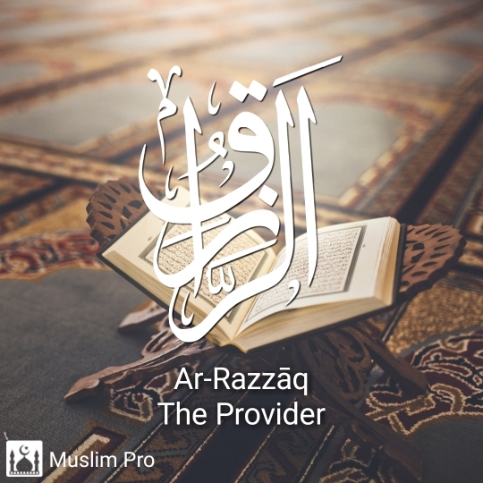 the provider