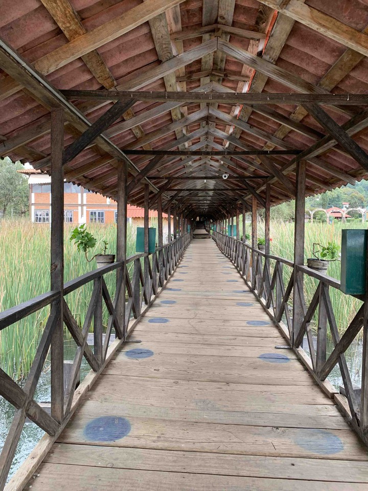 bridge