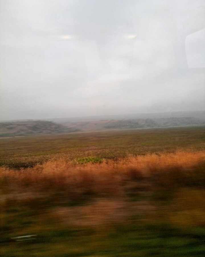Trip