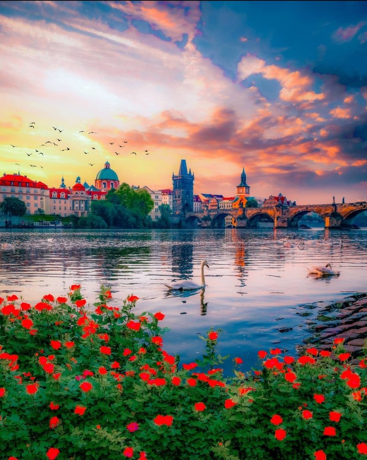 Praha