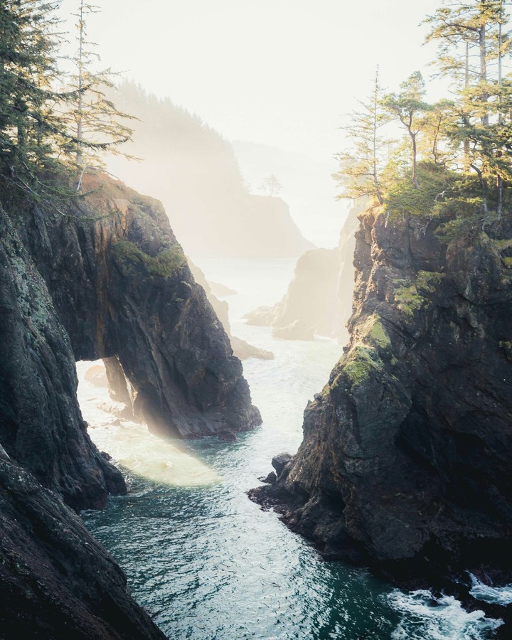 The Oregon Coast