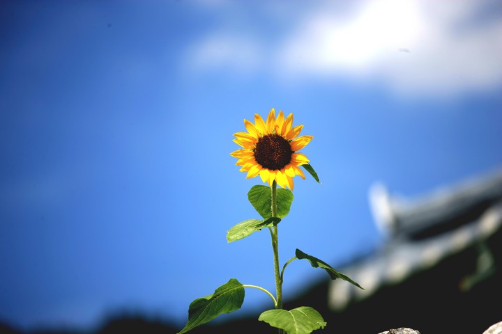 기억하기