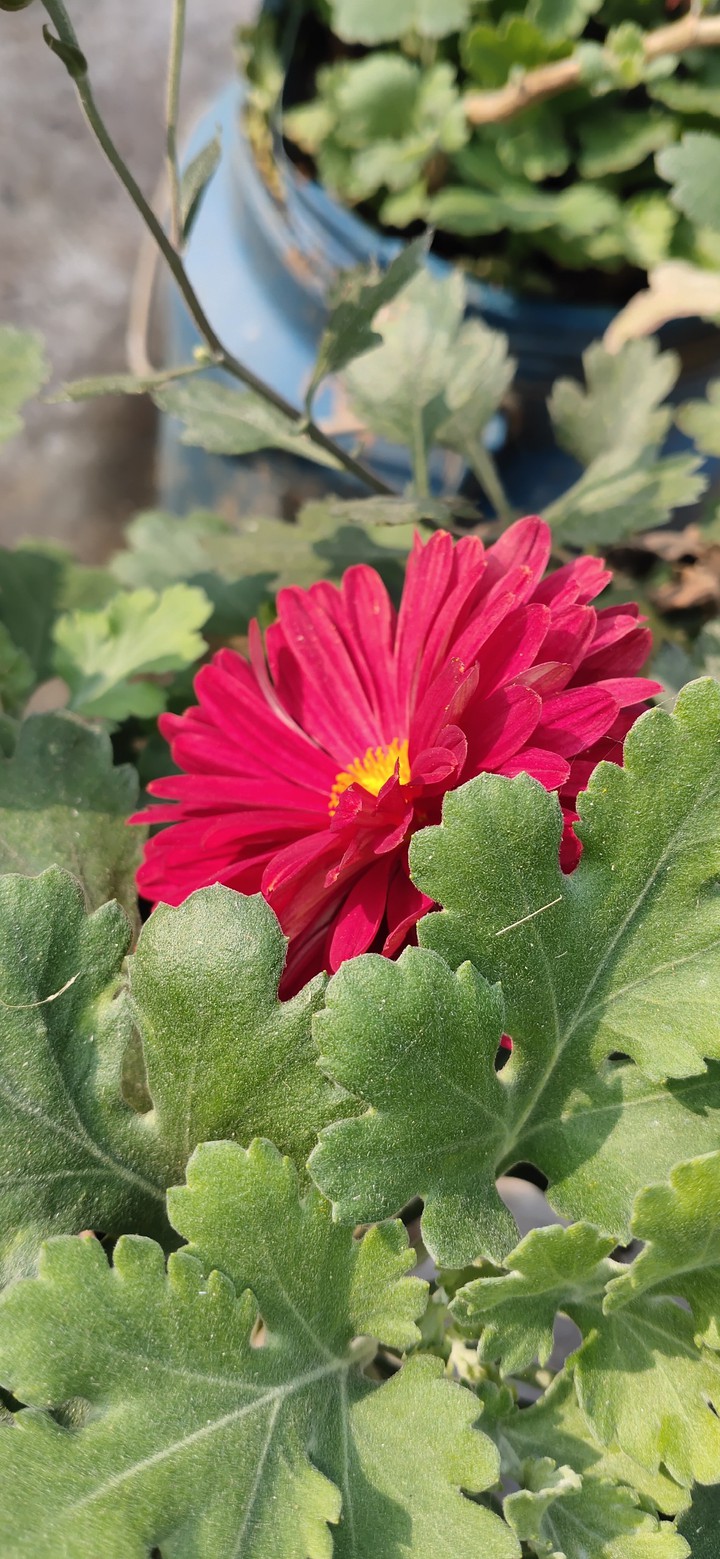 captured by me