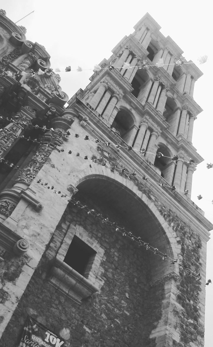 saltillo catedral