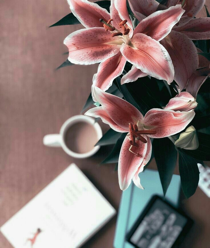 Coffee♡