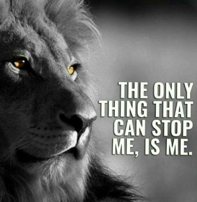 Attitude