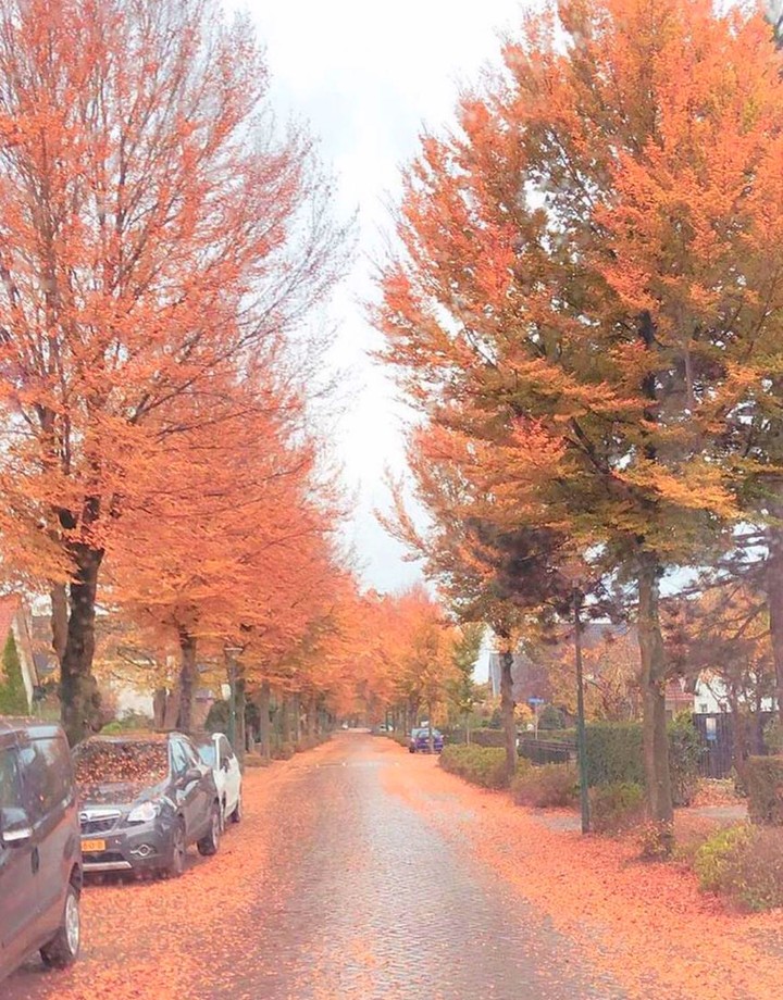 autumn