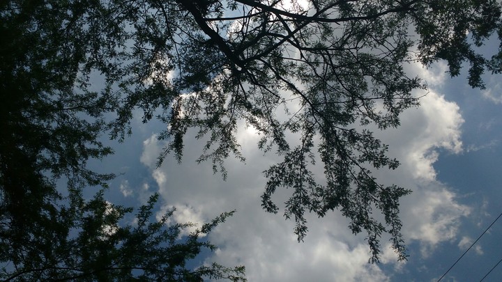 magia
