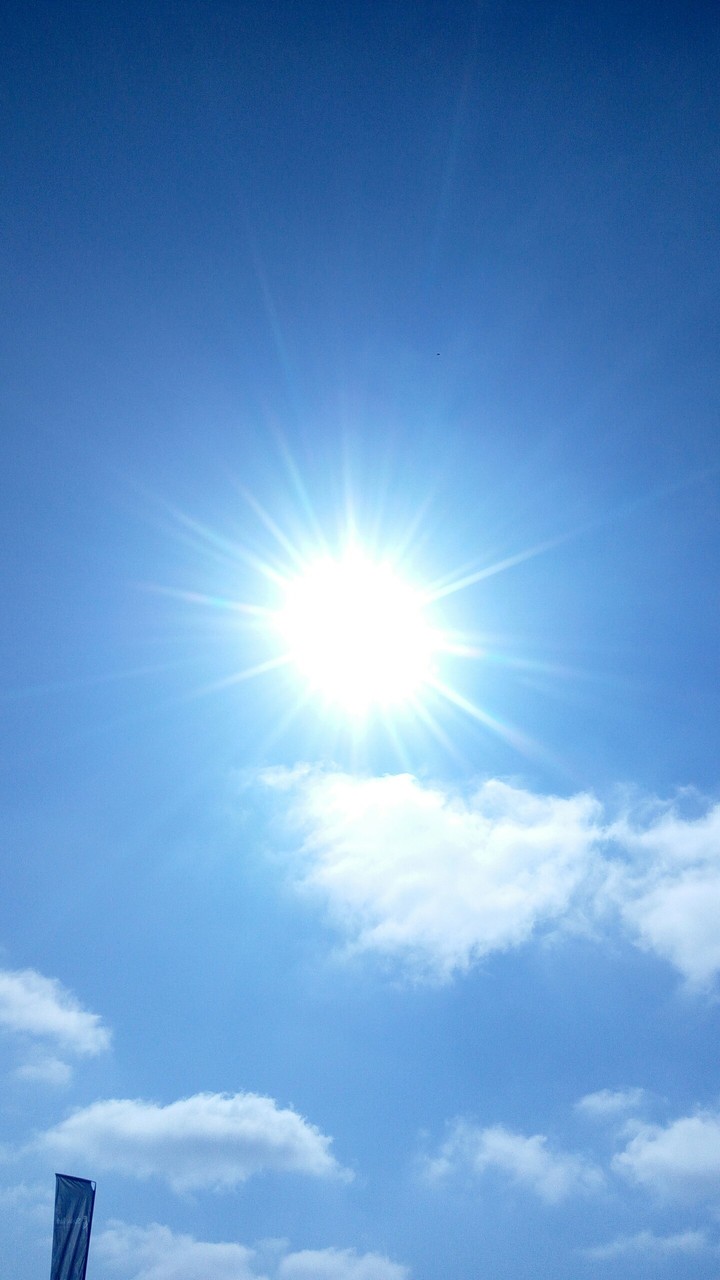Sunny day