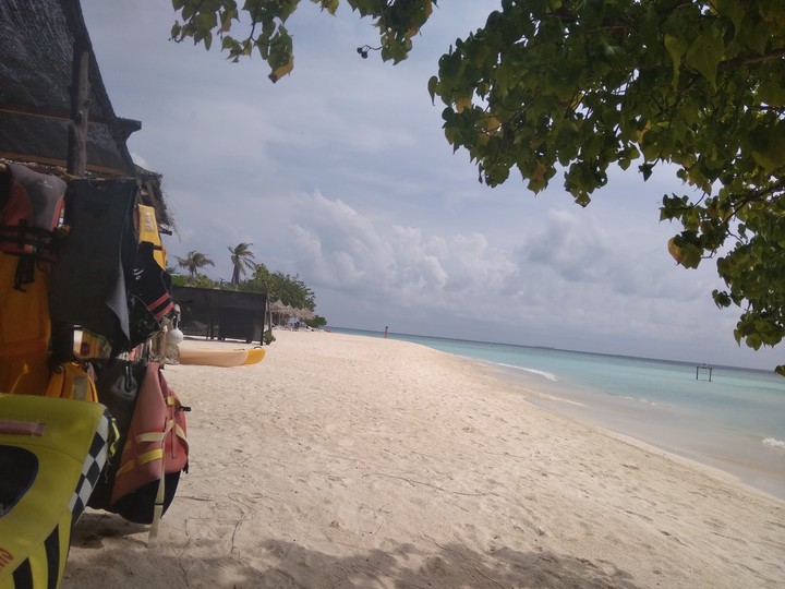 Island life