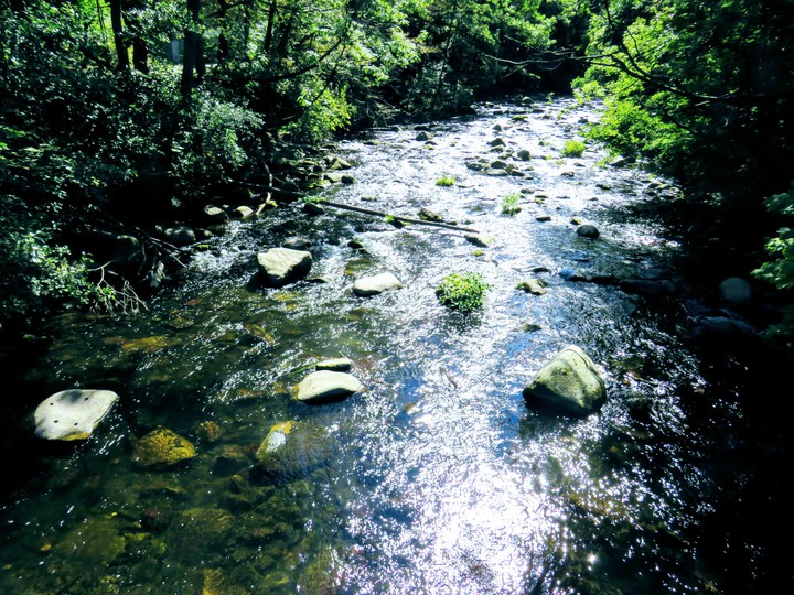 Thale im Harz