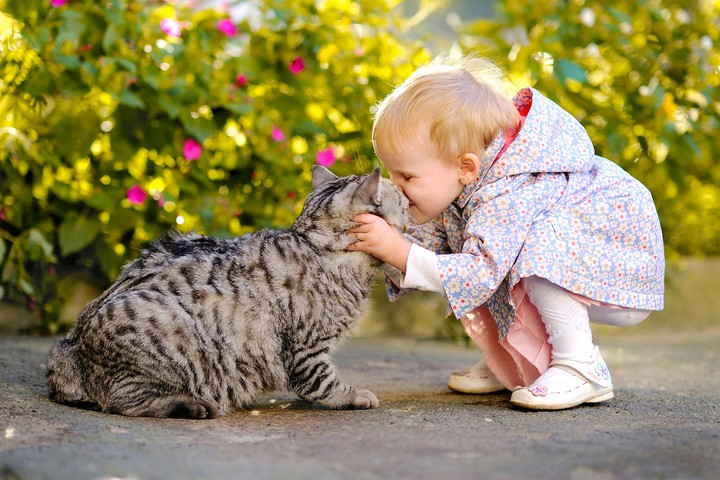 playing with cat ;-)
