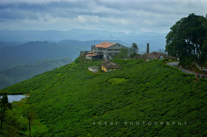 Green Nature