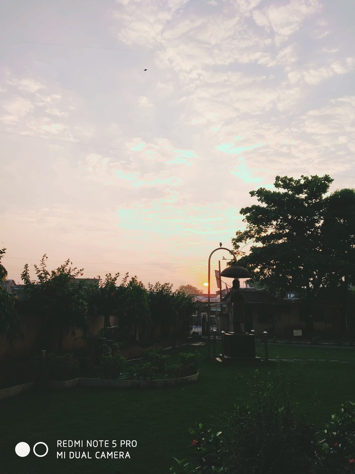 A Pleasant Morning