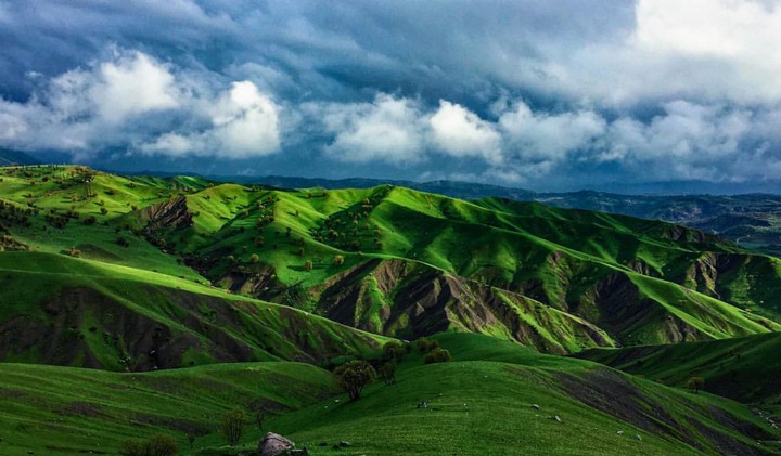 landscape