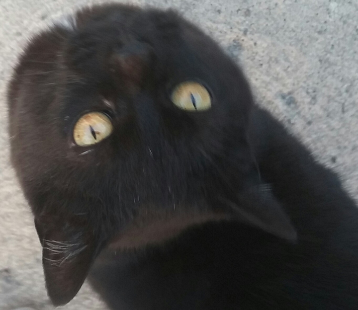 Hello!