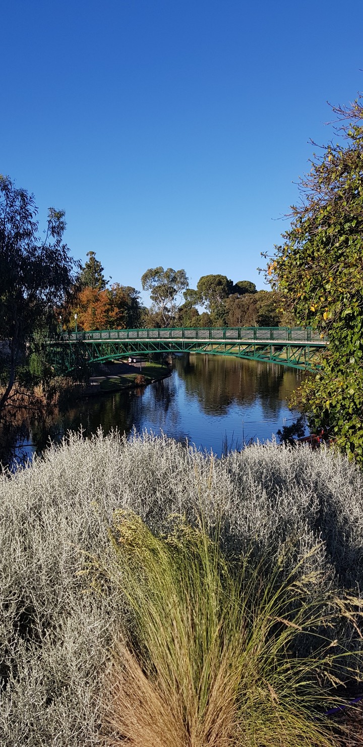 Adelaide love bridge