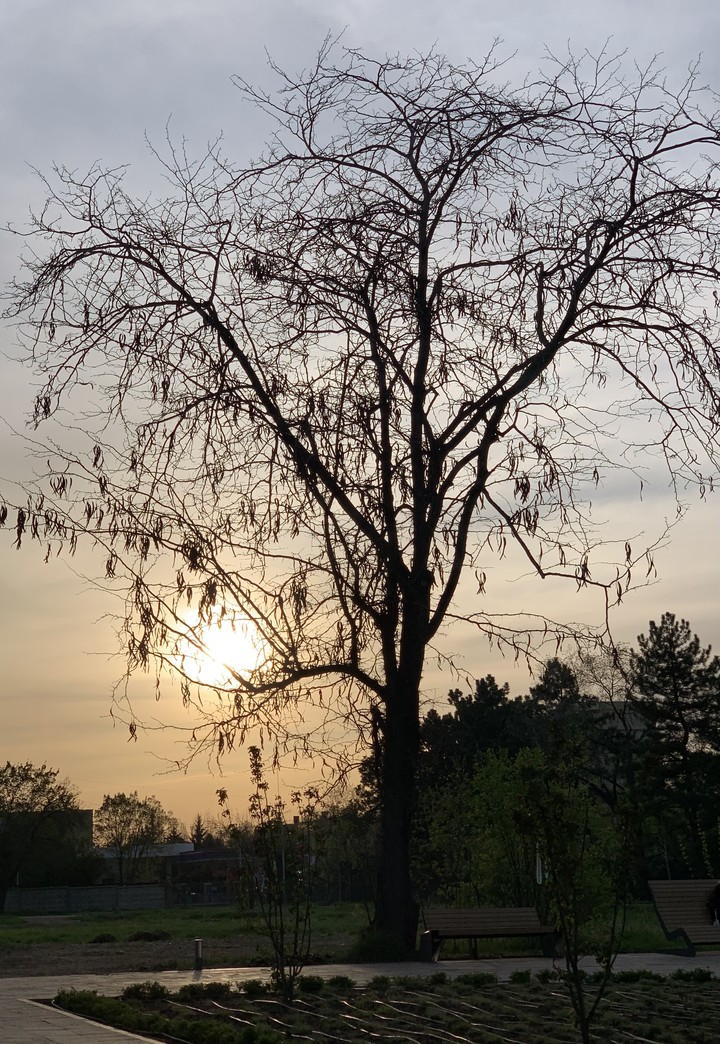 sunset in Almaty.