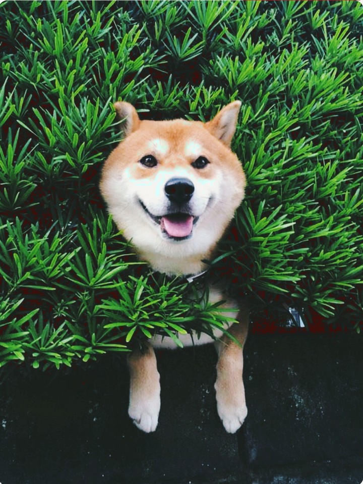 Hello :)