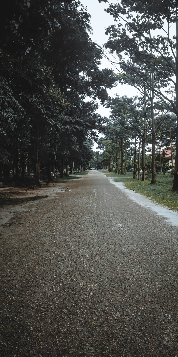 way